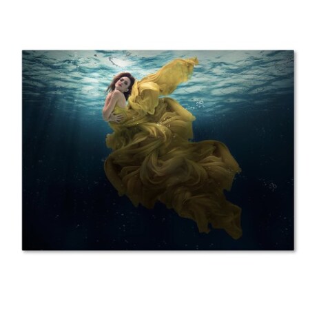 Trademark Fine Art Martha Suherman 'The Angel' Canvas Art, 35x47 1X03472-C3547GG